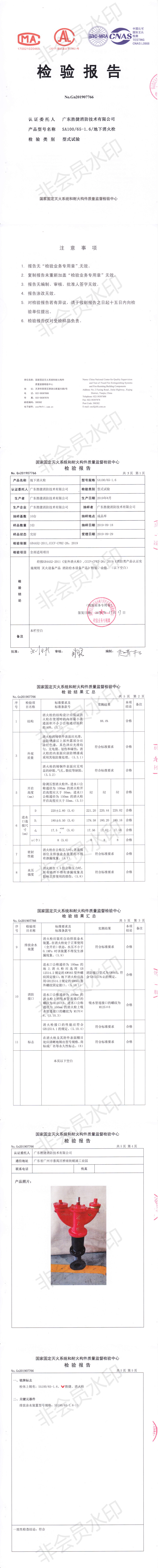 SA100-65-1.6地下消火栓检验报告_0.png
